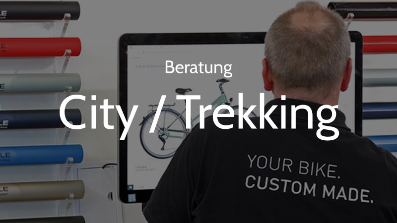 Beratung  City- / Trekkingrad