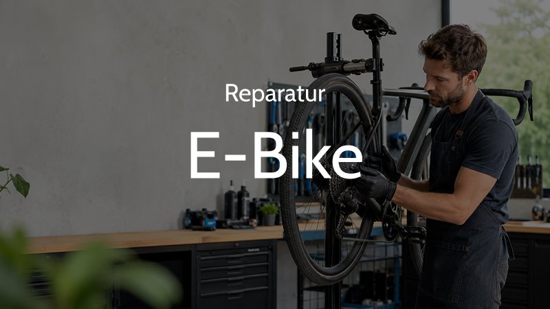E-Bike Reparatur 