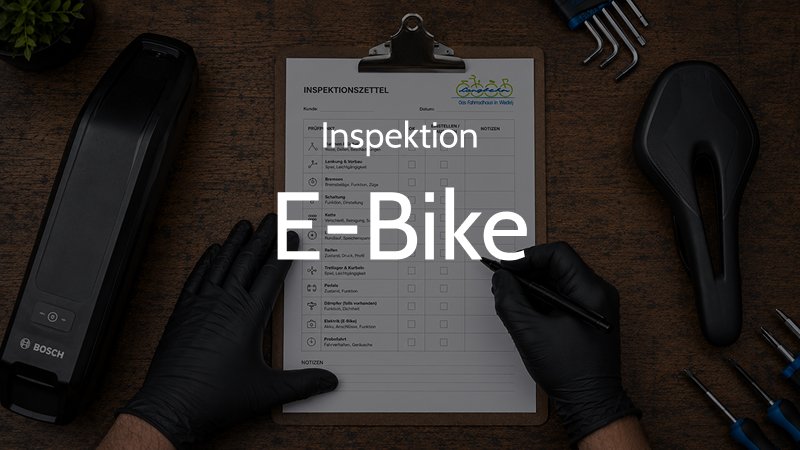 E-Bike Inspektion